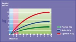 curva della crescita 300x168 1