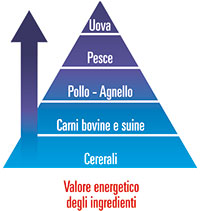 fabbisogno energetico