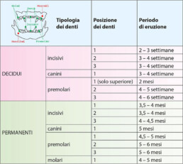 tabella denti