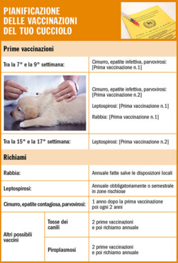 vaccinazioni