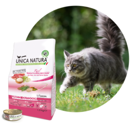 unico outdoor1