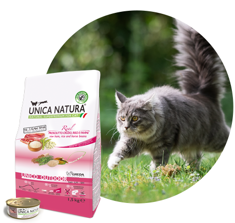 unico outdoor1